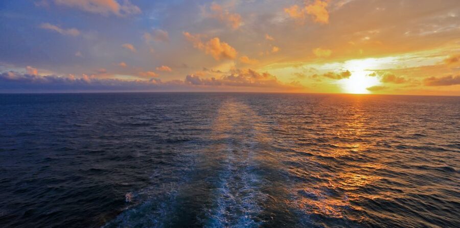 Florida: Emerald Coast Sunset & Dolphin Cruise with Guide - Boarding at 189 Brooks Street