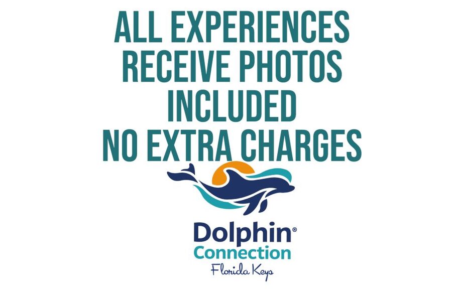 Florida Keys: Dockside Dolphin Experience - Booking flexibility and group details