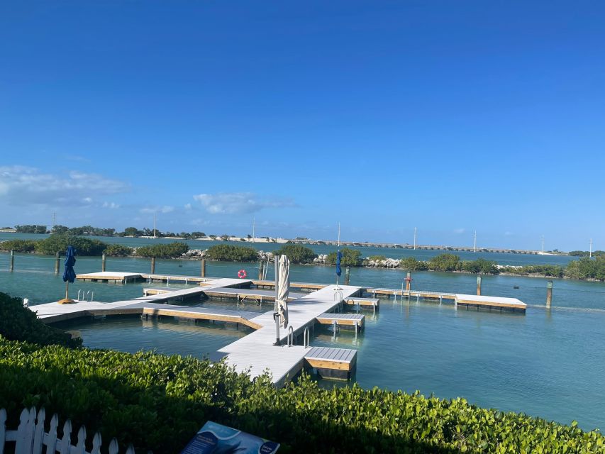 Florida Keys: Dockside Dolphin Experience - Feeding and playtime at the dry training dock