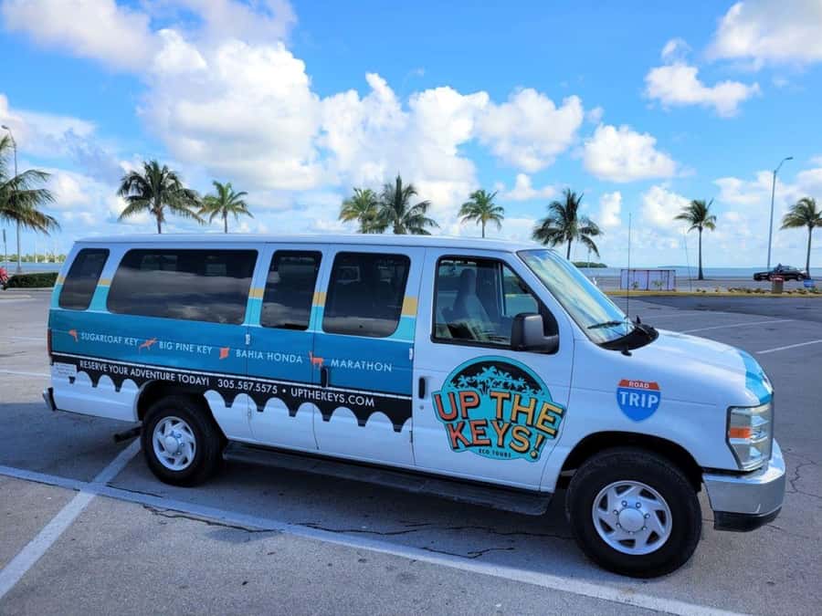 Florida Keys: Dolphin Research Center Day Tour with Lunch - Key points of the South Keys day tour
