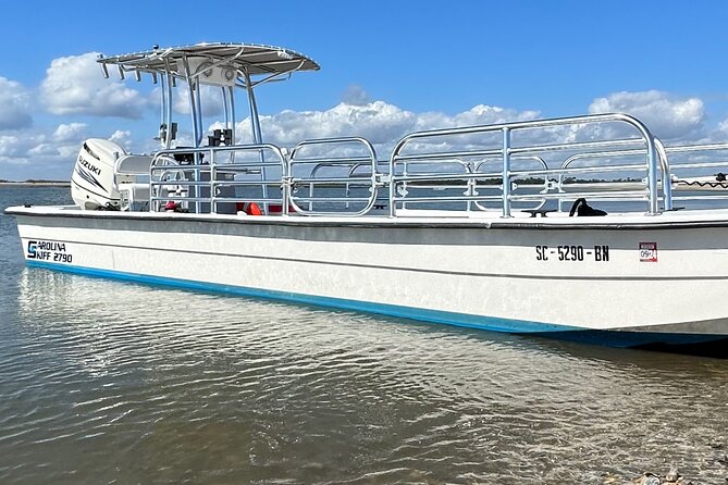 Folly River Dolphin Adventure (options for private or public) - Dolphins, birds, and the value of a good captain
