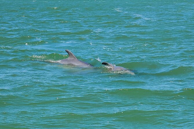 Fort Myers Beach Dolphin & Sightseeing Tour Refreshments Included - A calm route through Fort Myers Beach back waters