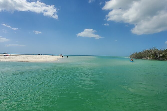 Fort Myers Beach Dolphin & Sightseeing Tour Refreshments Included - Is $64.95 a fair price?