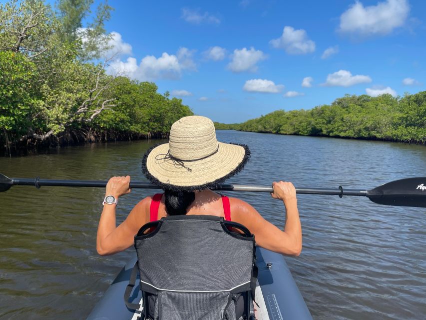 Fort Pierce: 4-hr Mangroves & Dolphin Watch Sandbar in FL - Why this Fort Pierce kayak trip works so well