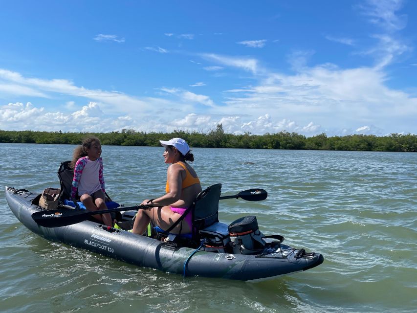 Fort Pierce: 4-hr Mangroves & Dolphin Watch Sandbar in FL - Watching for dolphins, manatees, and rays