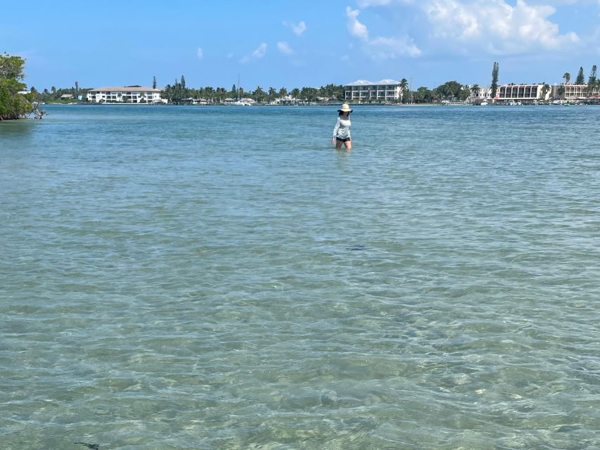 Fort Pierce: 4-hr Mangroves & Dolphin Watch Sandbar in FL - Returning by electric propulsion