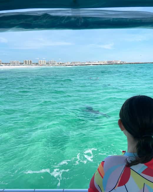 Fort Walton Beach: Emerald Coast 2-hour Dolphin Cruise - Setting out from Fort Walton Beach