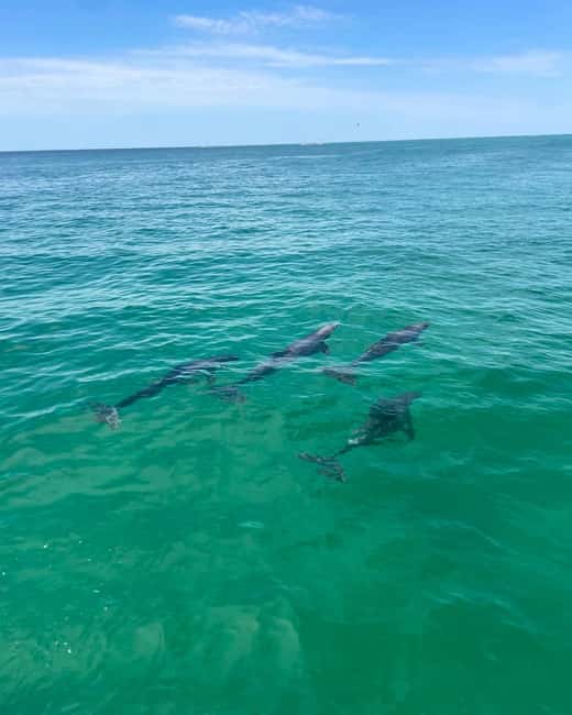 Fort Walton Beach: Emerald Coast 2-hour Dolphin Cruise - What the catamaran ride feels like