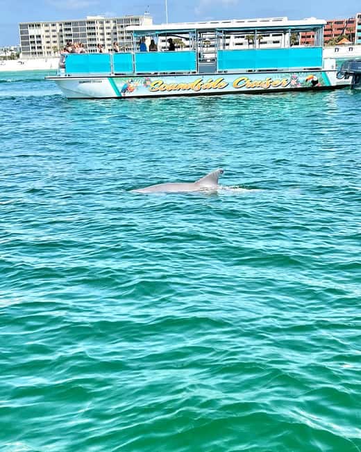 Fort Walton Beach: Emerald Coast 2-hour Dolphin Cruise - Is the $13 fare a good value?