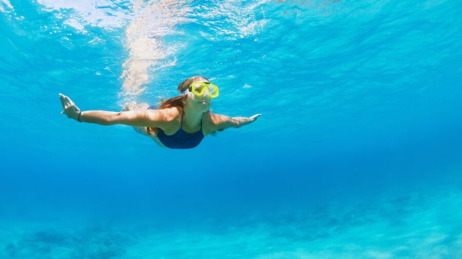 Fort Walton Beach: Morning Dolphin Cruise with Snorkel Stop - Equipment, food, and the small print