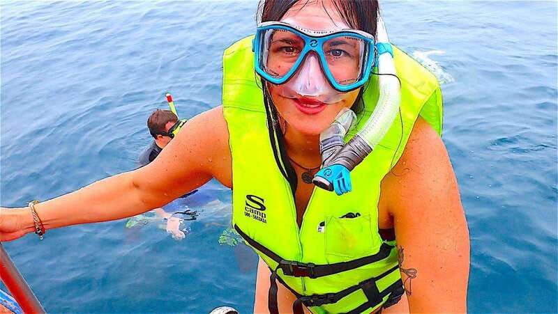 Fort Walton: Dolphin Discovery and Snorkeling Cruise - Key points to know before booking