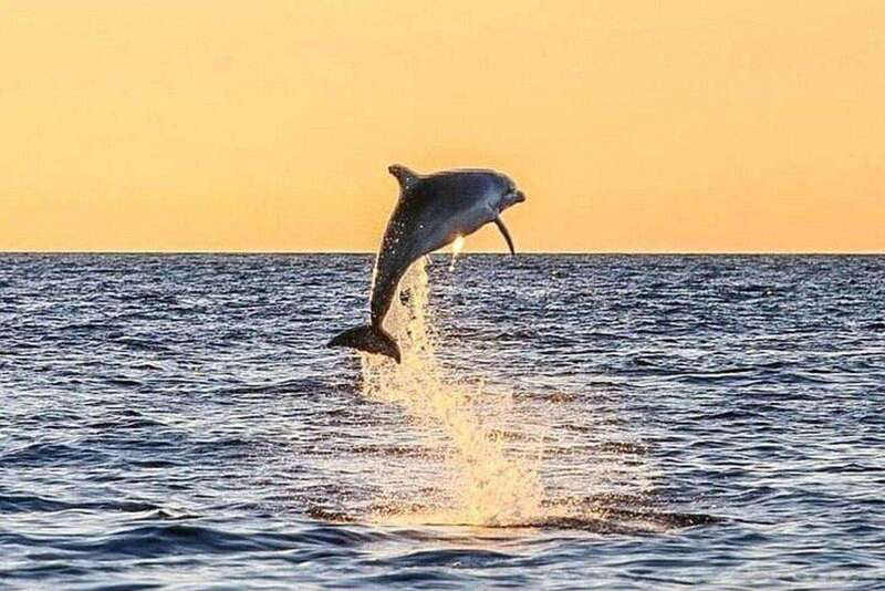 Fort Walton: Dolphin Discovery and Snorkeling Cruise - Setting out from Fort Walton Beach