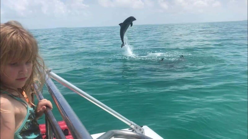 Fort Walton: Dolphin Discovery and Snorkeling Cruise - Watching for dolphins in the bay