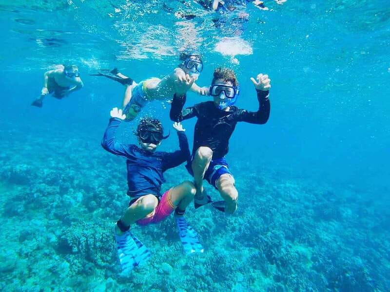 Fort Walton: Dolphin Discovery and Snorkeling Cruise - Snorkeling in the Gulf waters