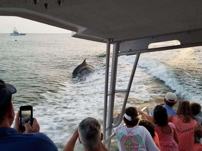 Fort Walton: Dolphin Discovery and Snorkeling Cruise - Destin Harbor gives the cruise its first change of pace