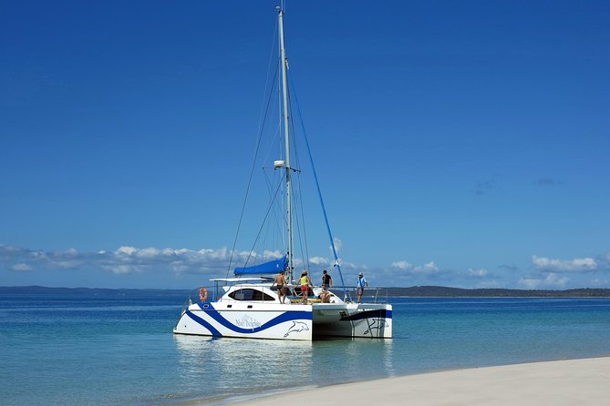 Fraser Island & Dolphin Sailing Adventure - Morning tea, drinks, and practical comfort