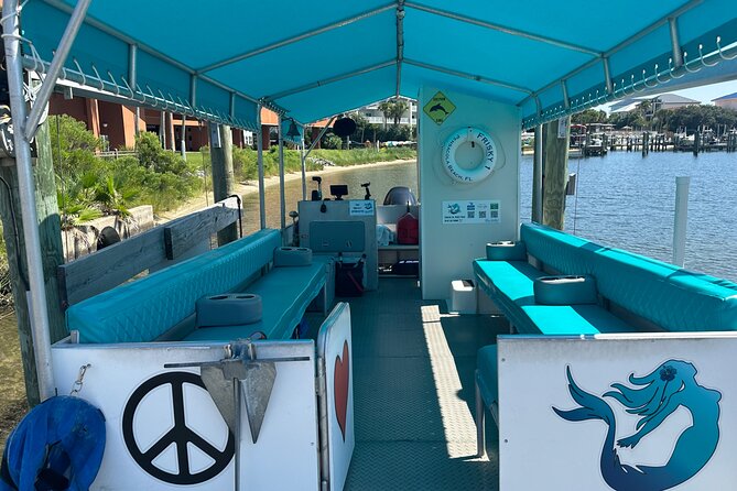 Frisky Mermaid Dolphin Tour + Secluded Beach + Equip - Key points to know before booking