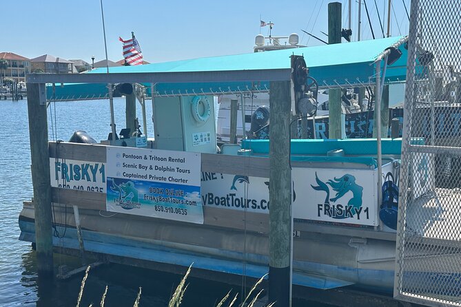 Frisky Mermaid Dolphin Tour + Secluded Beach + Equip - What the $499 group price really means