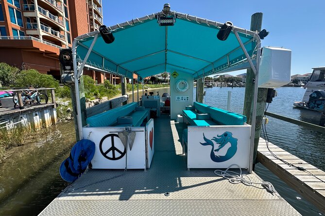Frisky Mermaid Dolphin Tour + Secluded Beach + Equip - Who will get the most from this tour