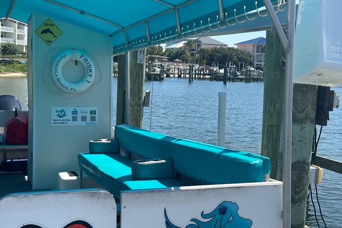 Frisky Mermaid Dolphin Tour + Secluded Beach + Equip - Weather, wildlife, and the cancellation risk