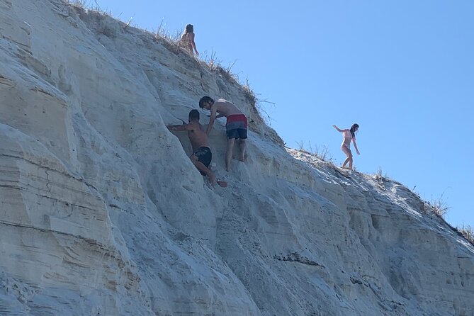 Frisky Mermaid Dolphin Tour + Secluded Beach + Equip - Practical planning for the three-hour outing
