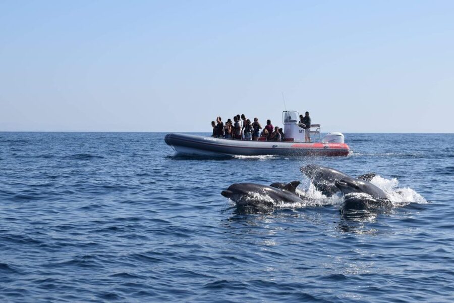 From Albufeira: Benagil Caves and Dolphins Guided Boat Tour - Entering the Benagil-area caves