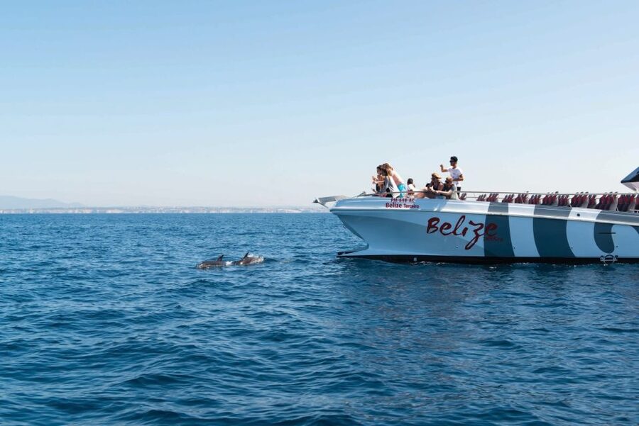 From Albufeira: Dolphins and Caves 2.5-Hour Boat Trip - Speed, spray, and the right seat
