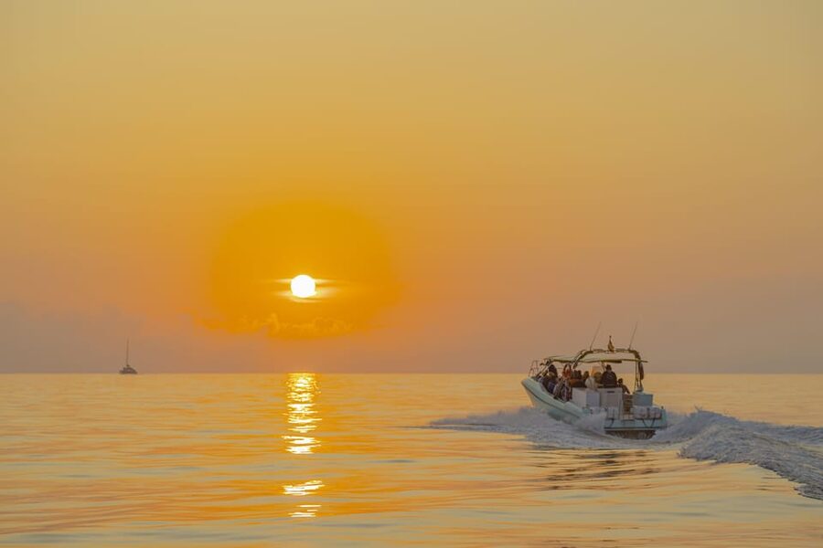 From Alcudia: Sunrise Dolphin Watching Boat Tour - Booking details worth knowing