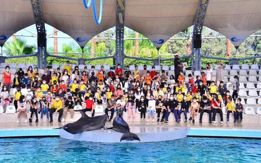From Belek: Dolphin Show with Transfers - Who will enjoy this most?