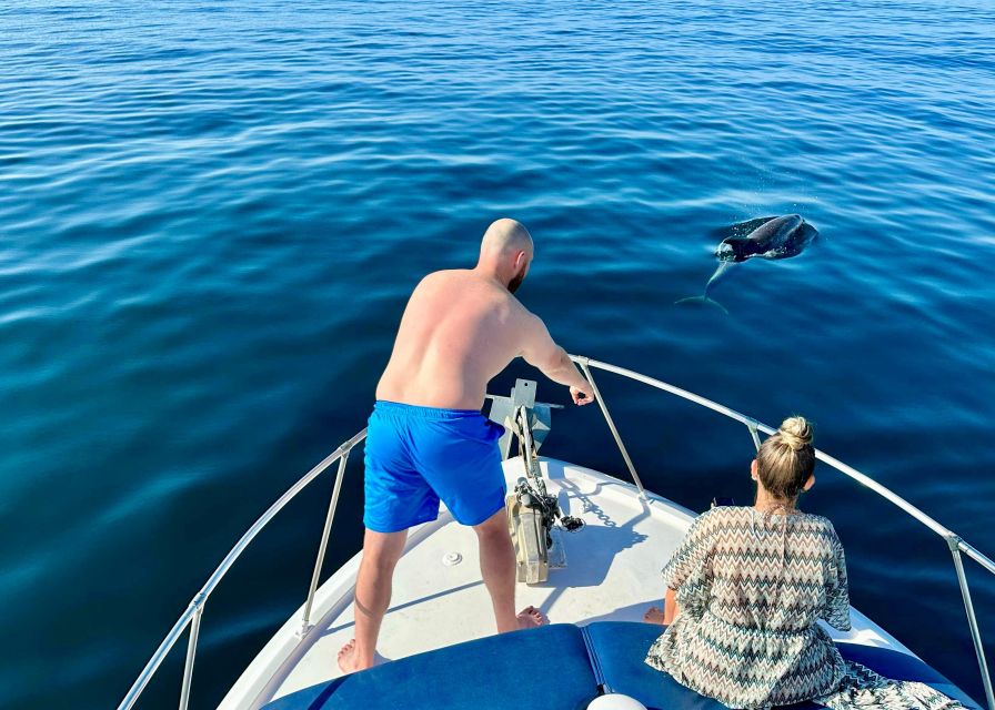 From Benalmádena & Torremolinos: Dolphin Watch Boat Trip - Is $44 good value for 90 minutes?