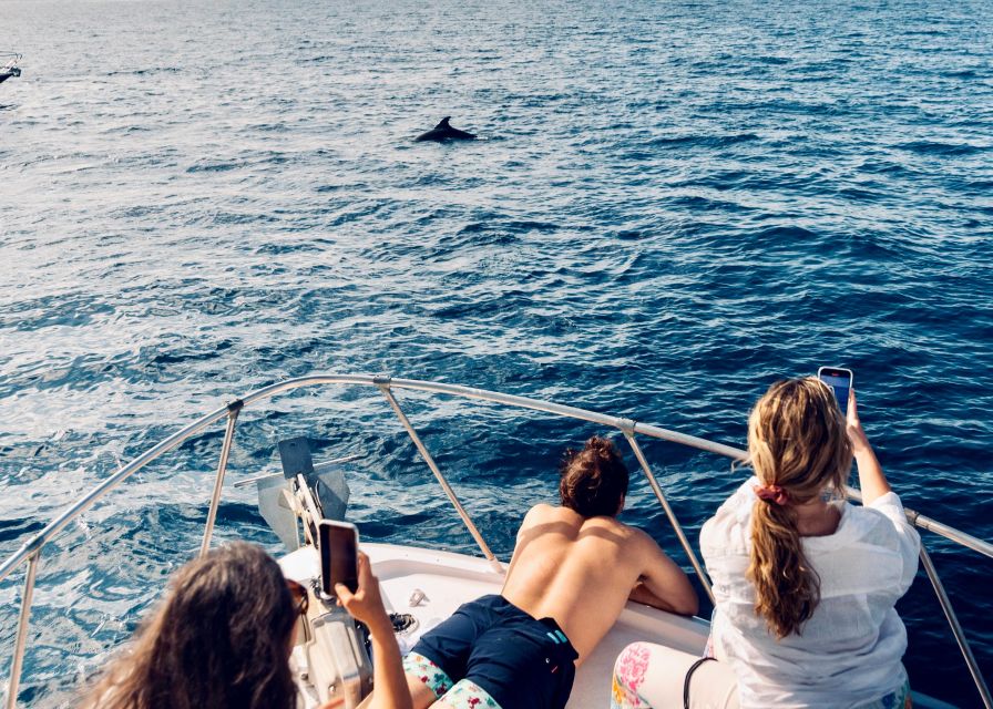 From Benalmádena & Torremolinos: Dolphin Watch Boat Trip - Who will enjoy it most?
