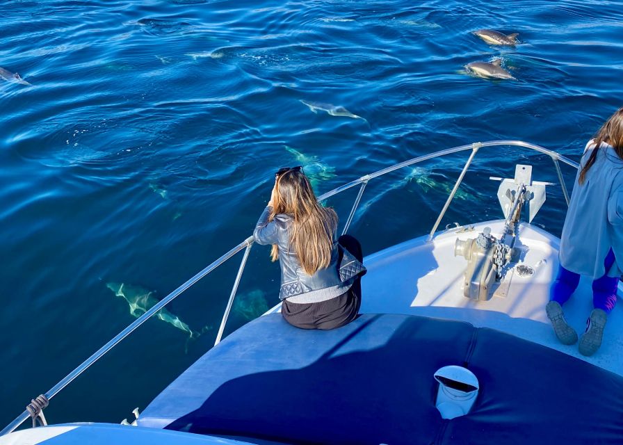 From Benalmádena & Torremolinos: Dolphin Watch Boat Trip - Finding Lu Sea Charters in Benalmádena