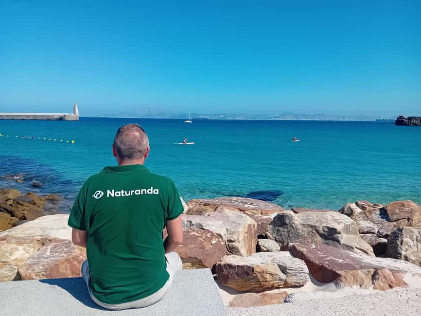 From Cádiz Bay: Tarifa Dolphin Watching Tour - Why the Strait of Gibraltar makes this boat trip special