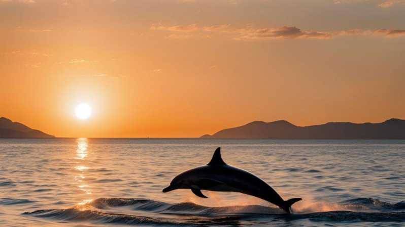 From Cagliari: sunset dolphin watching tour - A small boat made for the Gulf of Angels