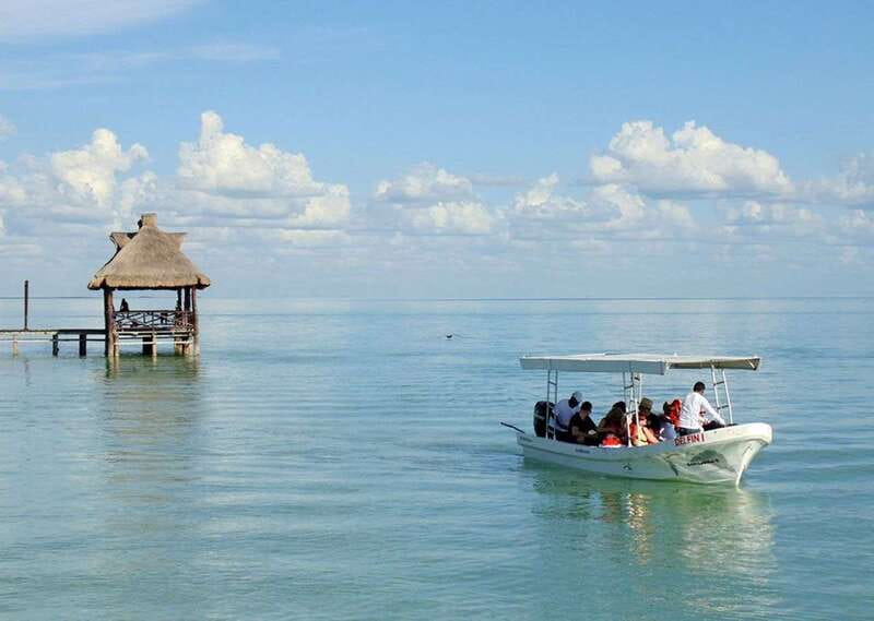 From Campeche: Isla Aguada Dolphin Encounter Tour - Isla de los Pájaros and the birdwatching stop