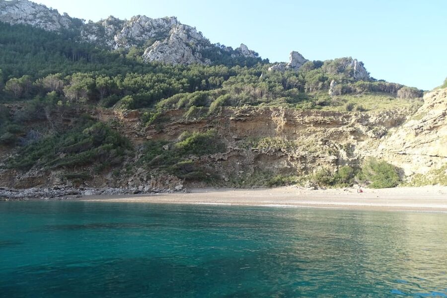 From Can Picafort: Dolphin Watching and Cave Boat Trip - Key points at a glance
