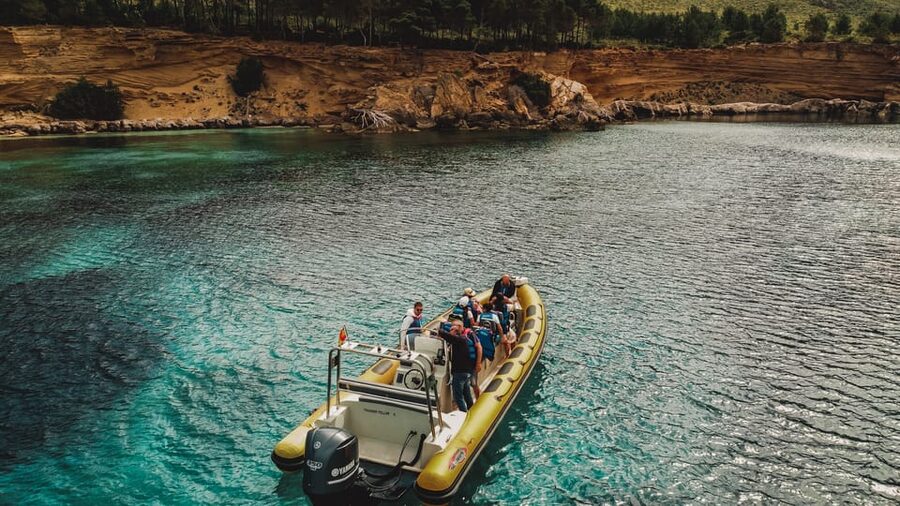 From Can Picafort: Dolphin Watching and Cave Boat Trip - Watching dolphins in their natural setting