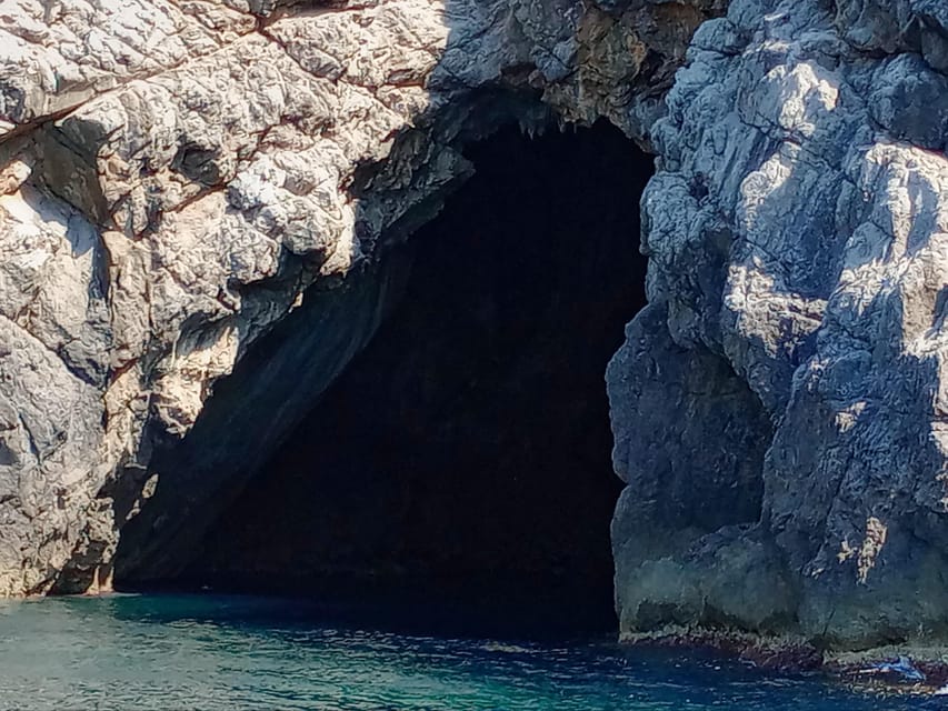 From Can Picafort: Dolphin Watching and Cave Boat Trip - Practical tips for a better outing