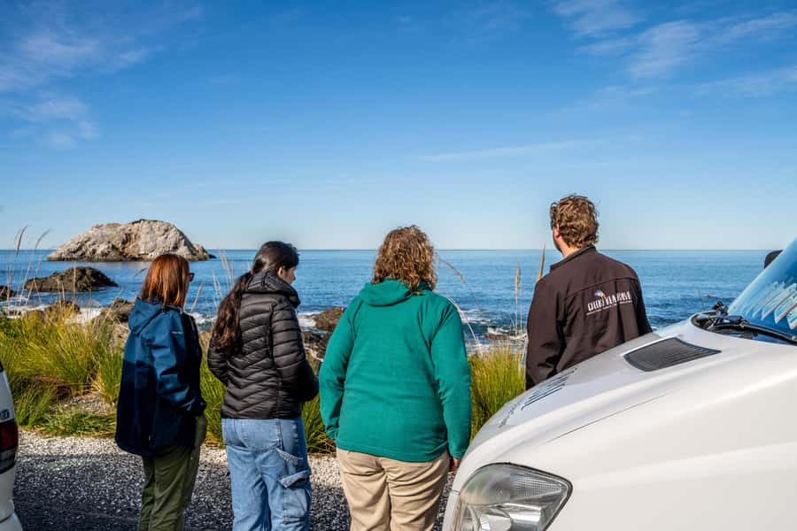 From Christchurch: Kaikōura Day Tour With Dolphin Encounter - The road north through Waipara and Cheviot