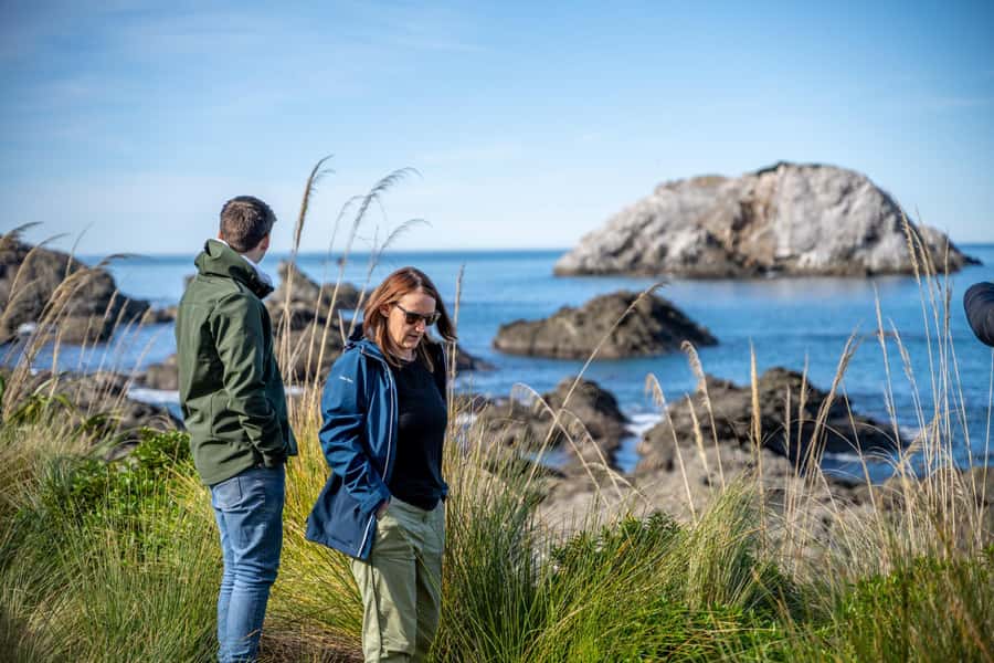 From Christchurch: Kaikōura Day Tour With Dolphin Encounter - Four hours with Dolphin Encounter Kaikōura