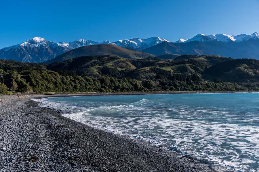 From Christchurch: Kaikōura Day Tour With Dolphin Encounter - Who should book this day trip