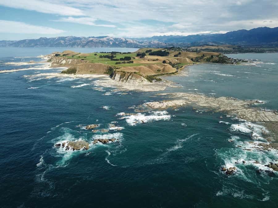 From Christchurch: Kaikōura Day Tour With Dolphin Encounter - The early Christchurch pickup sets the rhythm