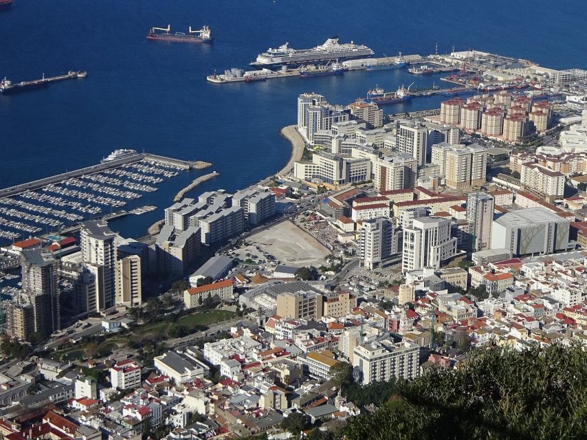 From Costa del Sol: Gibraltar Dolphin Watching by Boat - Practical details that affect your decision