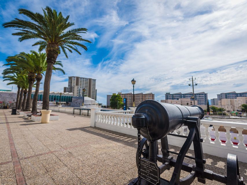 From Costa del Sol: Gibraltar Dolphin Watching by Boat - The coach ride from Malaga and the Costa del Sol