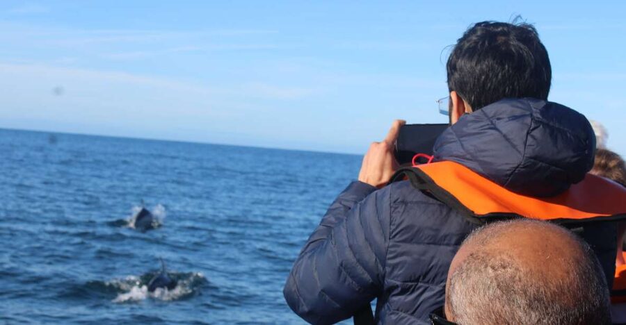 From Faro: Dolphin Watching & 2 Islands Tour - Ilha do Farol and Its Lighthouse Village