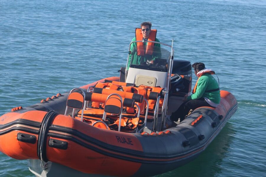 From Faro: Dolphin Watching & 2 Islands Tour - Searching for Dolphins Beyond Cabo de Santa Maria
