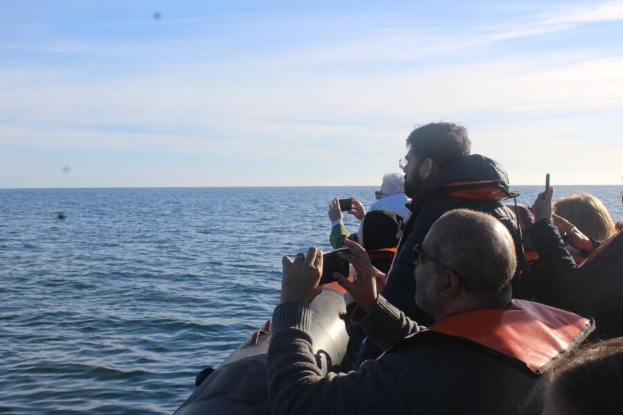 From Faro: Wildlife and Dolphin-Watching Speedboat Tour - Leaving Faro through Ria Formosa