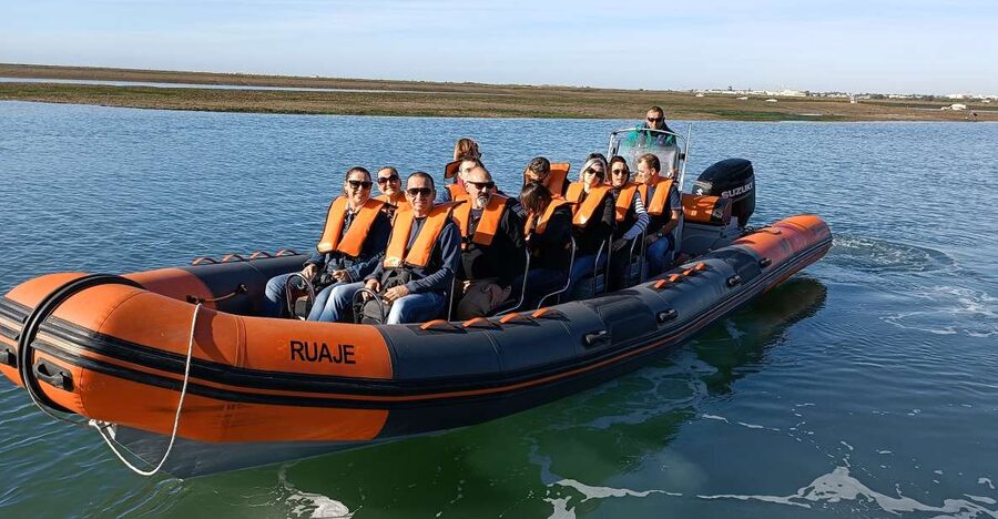 From Faro: Wildlife and Dolphin-Watching Speedboat Tour - The return through the changing park