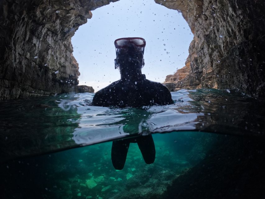 From Fazana: Dolphin watching and snorkeling in Blue Cave - Searching for dolphins near Brijuni