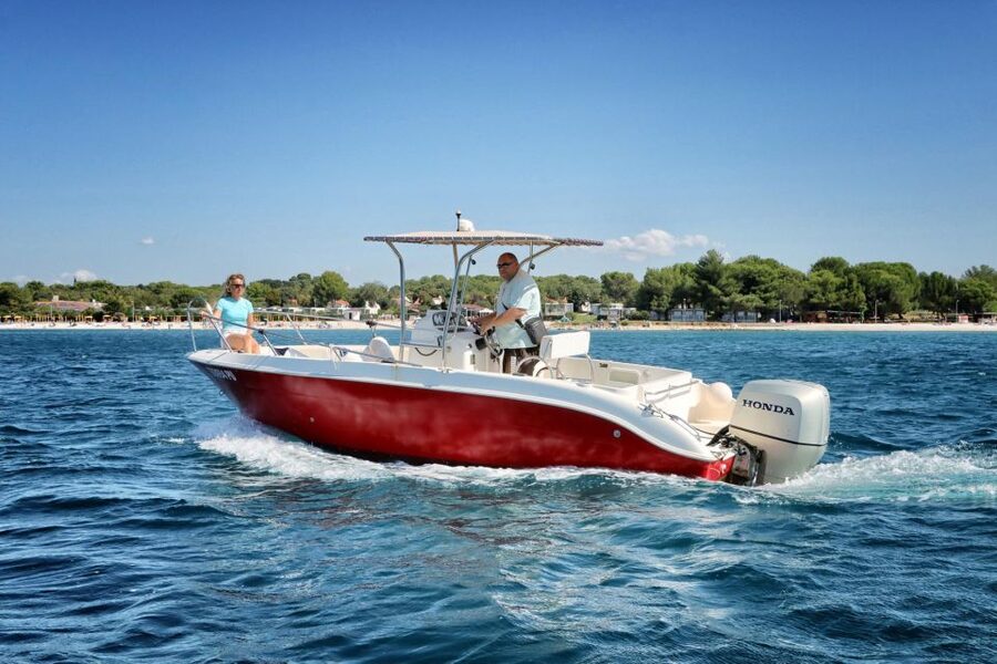 From Fazana: Private sunset dolphin tour - Price, group size, and practical value